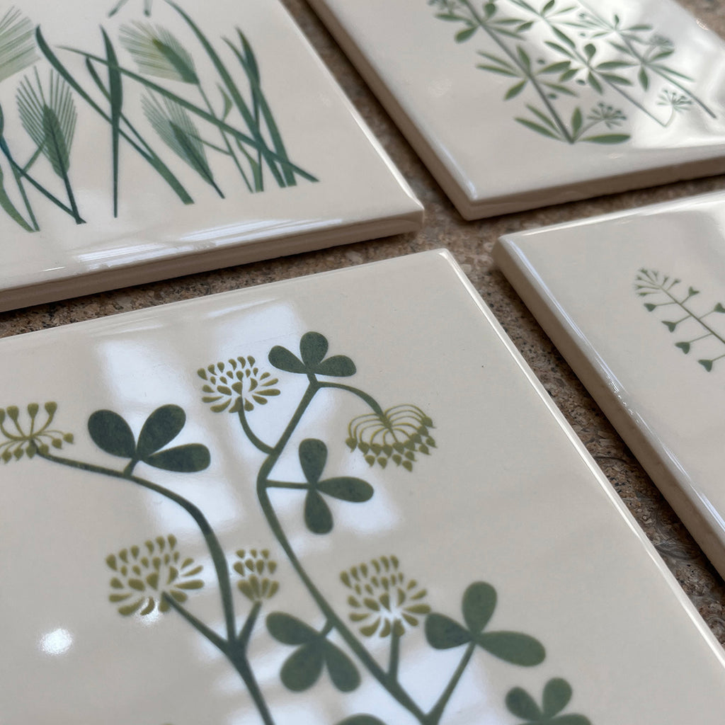 detail of set of 4 ceramic tile coasters illustrating British Weeds from artist Alison Milner's childhood memories