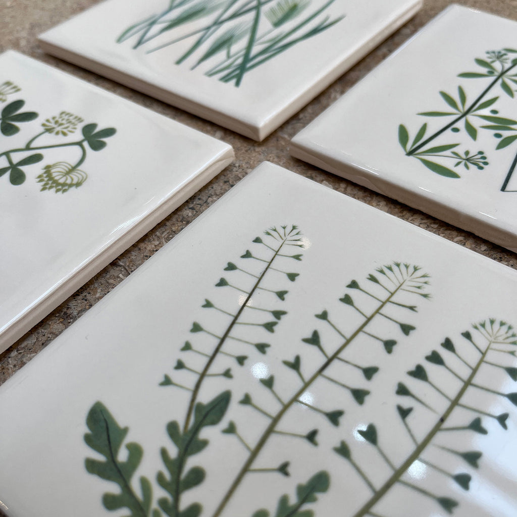 close up of set of 4 ceramic tile coasters illustrating British Weeds from artist Alison Milner's childhood memories
