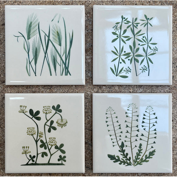 set of 4 ceramic tile coasters illustrating British Weeds from artist Alison Milner's childhood memories