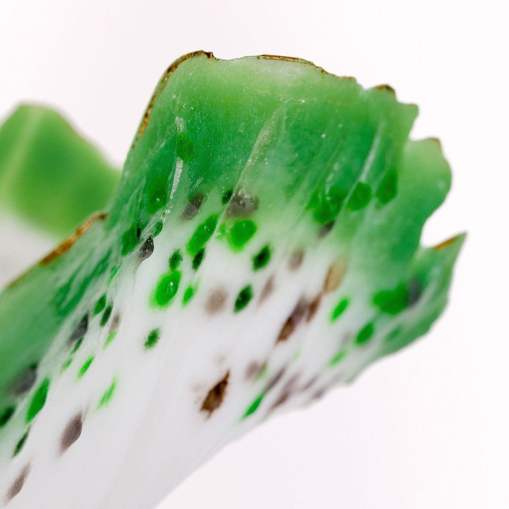 close up of the texture of the stopper in Aqua Mutalism Bottle made from cast glass and pate de verre by glass artist Verity Pulford part of the Bluecoat Display Centre Plant based exhibition