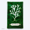 Handmade glass cyanotype wall panel by Verity Pulford depicting Fucus Ceranoides, a large brown intertidal seaweed, restricted to growing in estuaries or near freshwater streams on the shore
