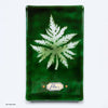 Handmade glass cyanotype wall panel by Verity Pulford featuring 'Petris'