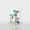 In a World of One’s Own Glass Sculpture is cast, pate de verre, kiln formed, painted and etched including found natural materials protected under glass dome