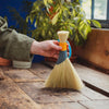 Person using a Tampico brush in a striking Teal and gold - perfect for work surfaces in the home, workshop or garden. This brush is ideal for dusting or sweeping crumbs on kitchen tables and counters, among other uses. 