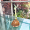 Smal Botanical Contemporary Ceramic Sculpture by Michelle Young Hares at the Bluecoat Display Centre - side view