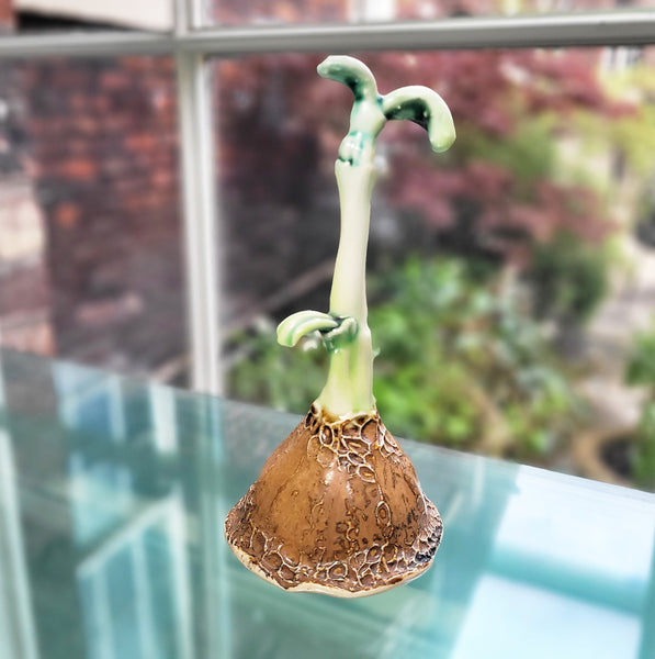 Smal Botanical Contemporary Ceramic Sculpture by Michelle Young Hares at the Bluecoat Display Centre