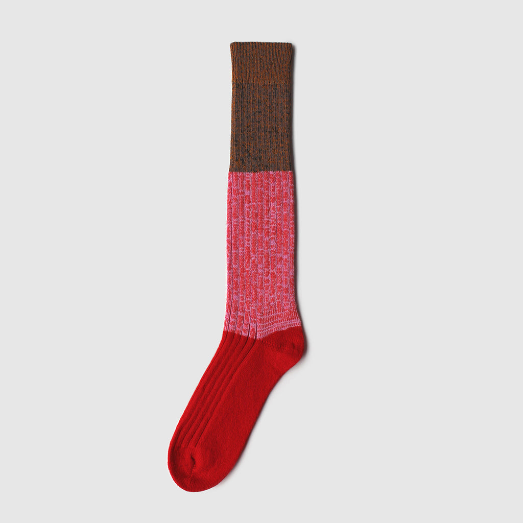 Red pink and brown sock by Millicent Sanders on a white background