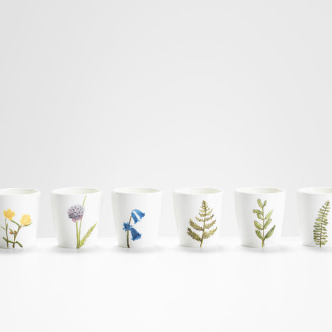 Functional Ceramics